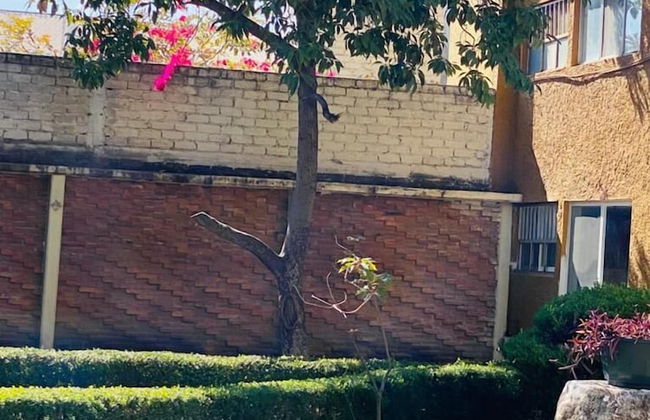 Estancia Centrico, Wifi, Y Servicios Incluidos - Foto 9