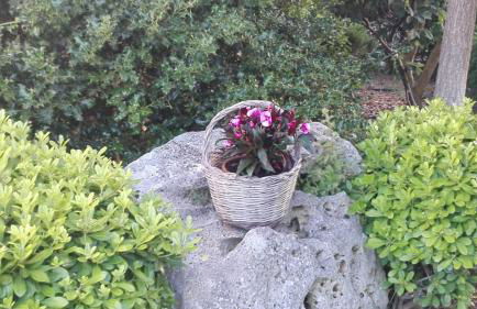 Villa Maria - Foto 24