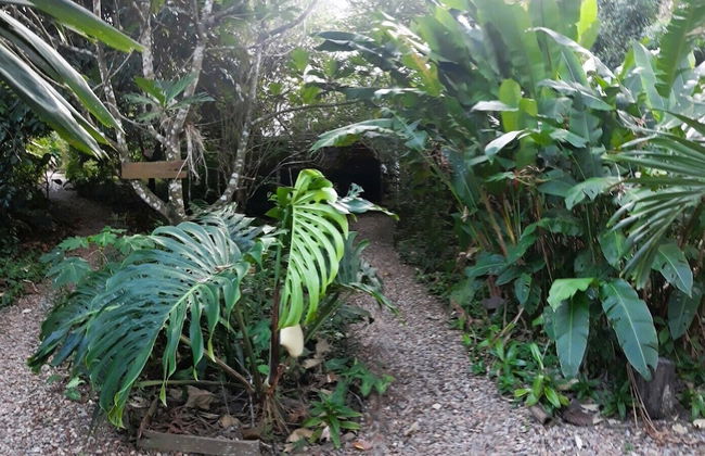 Licensed 2 Bedroom Cabin Close to San Ignacio, Local Dining, and Adventure Tours - Foto 13