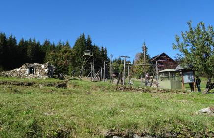 Wohnung Mitterdorf - Foto 36