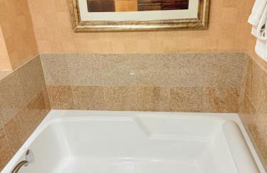 Idyllic Suite - Las Vegas - Foto 14