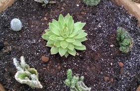 House of Polymnia - Photo 26