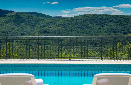 Authentic Villa Banić - Foto 77