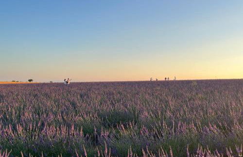 Provence Sweet Home - Foto 36