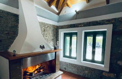 Citrus garden - Photo 47