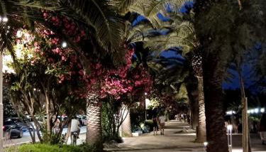 Mora Mora - Apartments - Foto 3