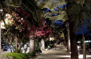 Mora Mora - Apartments - Foto 3