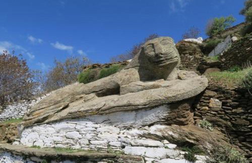 Lion House II - Photo 29