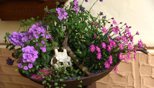 Ferienappartement Balik - Foto 5, Garden