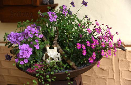 Ferienappartement Balik - Foto 5