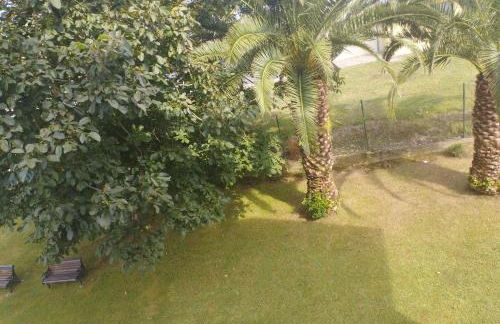 Apartamento Vicsus - Foto 6