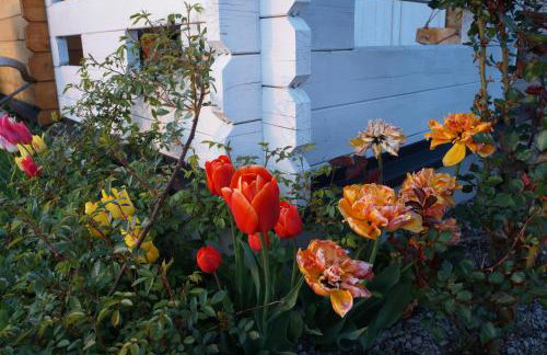 Drewniany Zakątek z sauną i jacuzzi - Foto 33