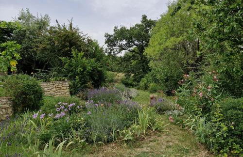 PERGOLA at Le Pietraie a cottage with many flowers - Foto 26
