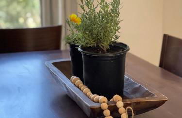 Paso Robles Wine Country Ranch House & Firepit - Foto 43