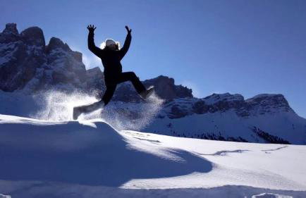 Froetscherhof, Urlaub auf dem Bio-Bauernhof in Brixen, Appartments, Sauna und BrixenCard - Foto 29