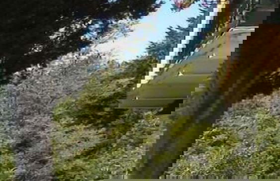 Agriturismo Casa del Bosco - Foto 58