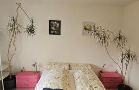 Holiday Everyday - Urlaubsparadies mit 2 Fahrrädern - Foto 2