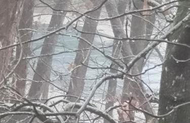 Bear Den on Lake Ouachita 2BR Condo at Mountain Harbor Resort - Foto 111