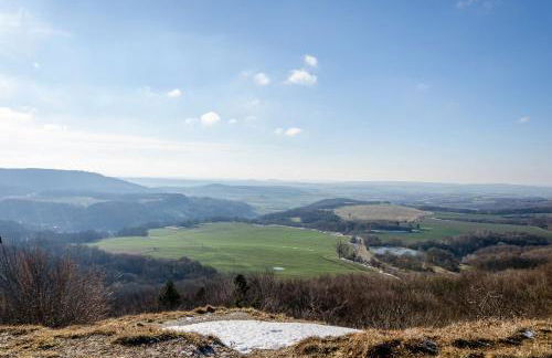 Zum weißen Roß - Foto 26