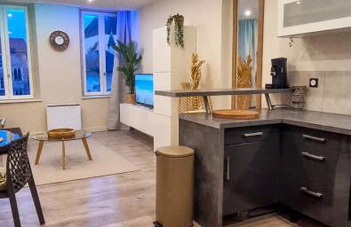 LE SAINT-LAURENT Cocoon Design Coeur de Ville - Foto 29