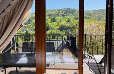 Domki Pienińskie Tarasy - Photo 59