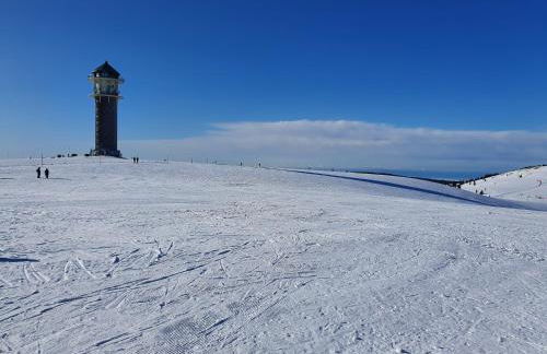 Enjoy Ferienwohnung Feldberg Grafenmatt - Foto 25