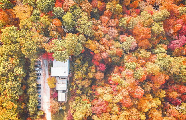 Treetop Retreat - Foto 1