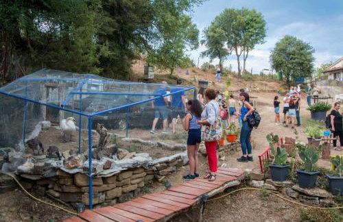 Ξενώνας museum 1ου ορόφου στο Ελληνικό Ιωαννίνων - Foto 28