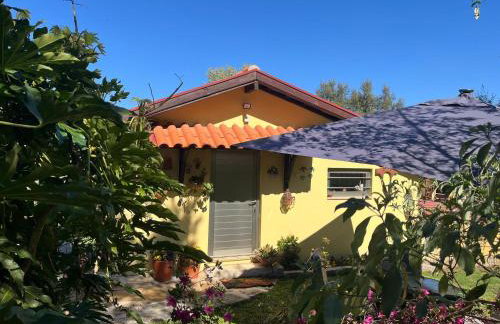 Quinta de Carcavelos Agroturismo e Enoturismo - Foto 4