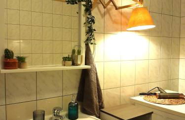 Spacious Home in Old-West - Leutsch - Foto 26