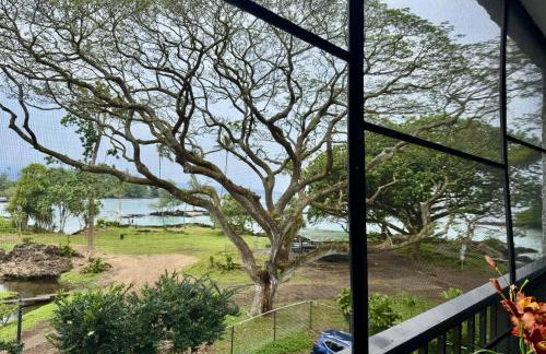 Ocean view Mauna Loa Shores Kai Ekahi #201 next to Carlsmith Beach Park Hilo HI - Photo 7