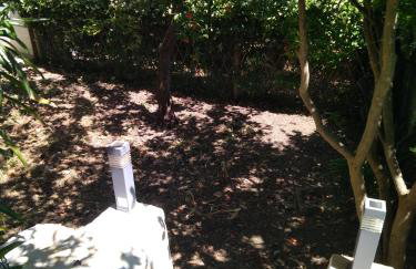 Bohemian Rhapsody - Foto 15