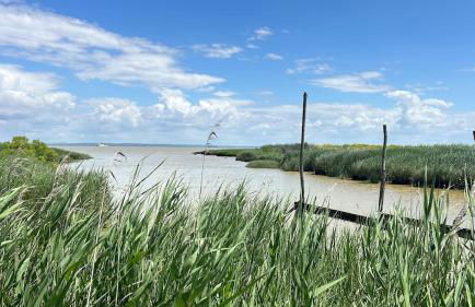Maison d'exception avec piscine - Foto 8