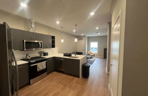 315 Brand New 1 Bedroom 1 Bath 1 Full Kit 1 Liv - Foto 4