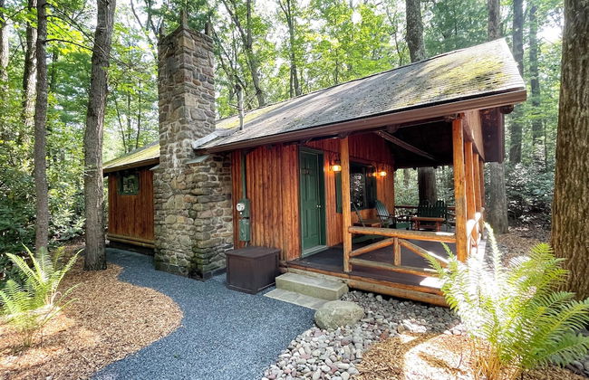 Mountain Springs Lake Resort - Foto 60