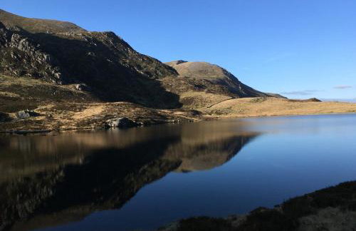 Bwthyn Bach Gilfach - Foto 23