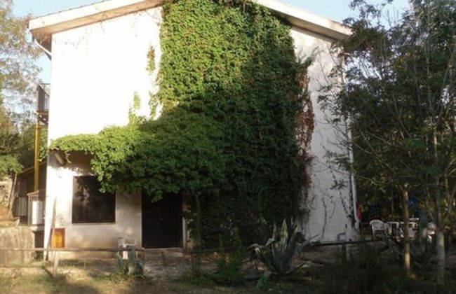 Le Dieci Querce - Foto 25