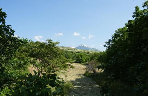 Rustic Italian House - Foto 10