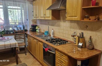 Pod Smerekiem - Photo 32