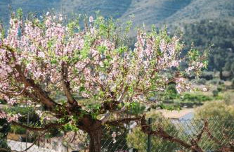 Riurau de Maria - Foto 9