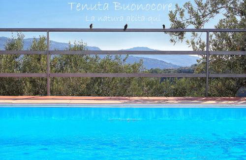 Tenuta Buonocore - Foto 65