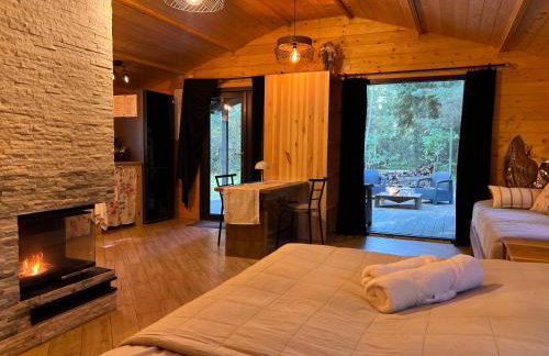 Ackermannia - Foto 70