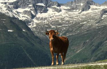 Le refuge 66 - Foto 12