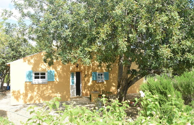 Attractive Portuguese Farm With Modern Decoration - Photo 25