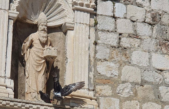 Free tour por el Dubrovnik histórico y los escenarios de Juego de Tronos - Foto 1