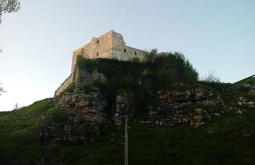 Apartment Petrovic - Foto 32