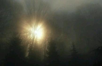 Agroturystyka Zaborski Sad - Foto 35