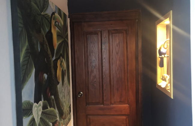 Océan Cave - Foto 4