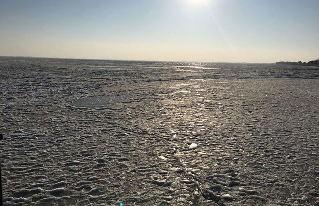 Slaapdott Comfortable Holiday Residence - Foto 5