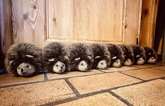 Cozy Forest Chalet Escape - Photo 10